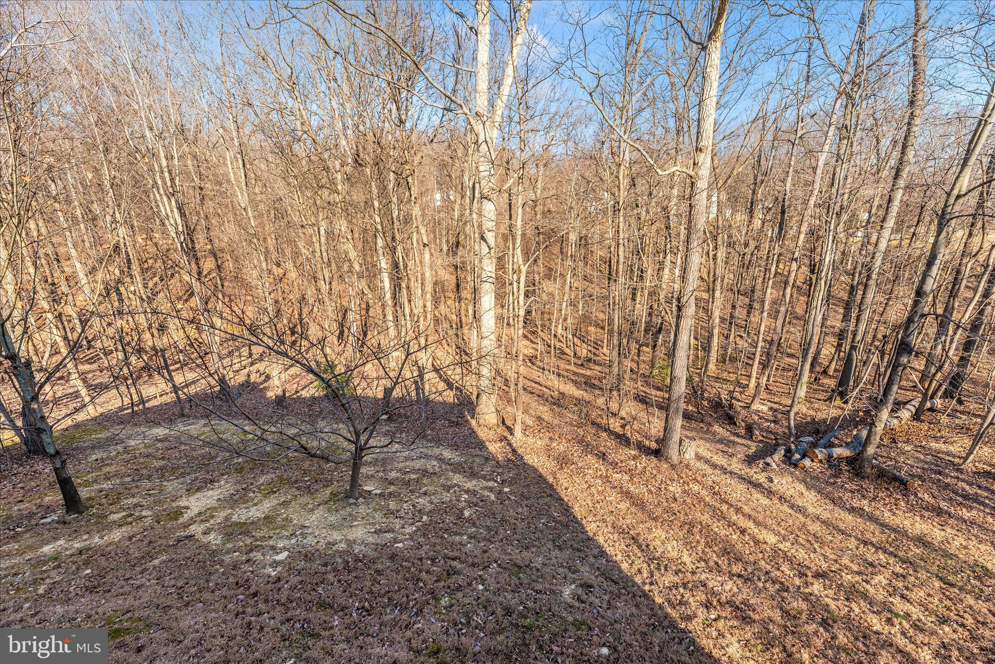 6216 Mt Phillip Road Frederick, MD 21703 - Photo 51 of 58 Exterior Back