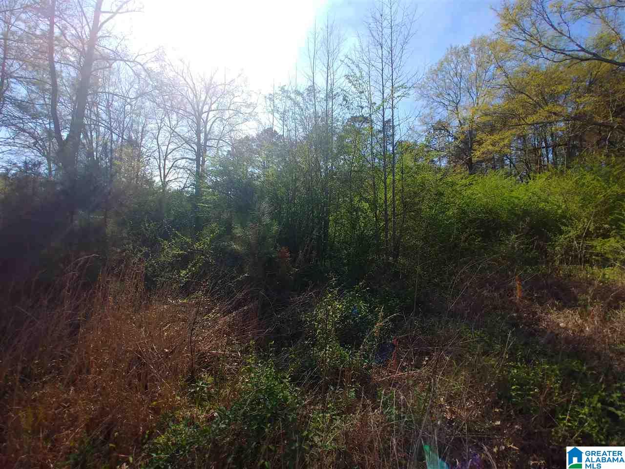 0 Roberts Mill Pond Road, Unit 1 39 Pell City, AL 35128 - Photo 12 of 29