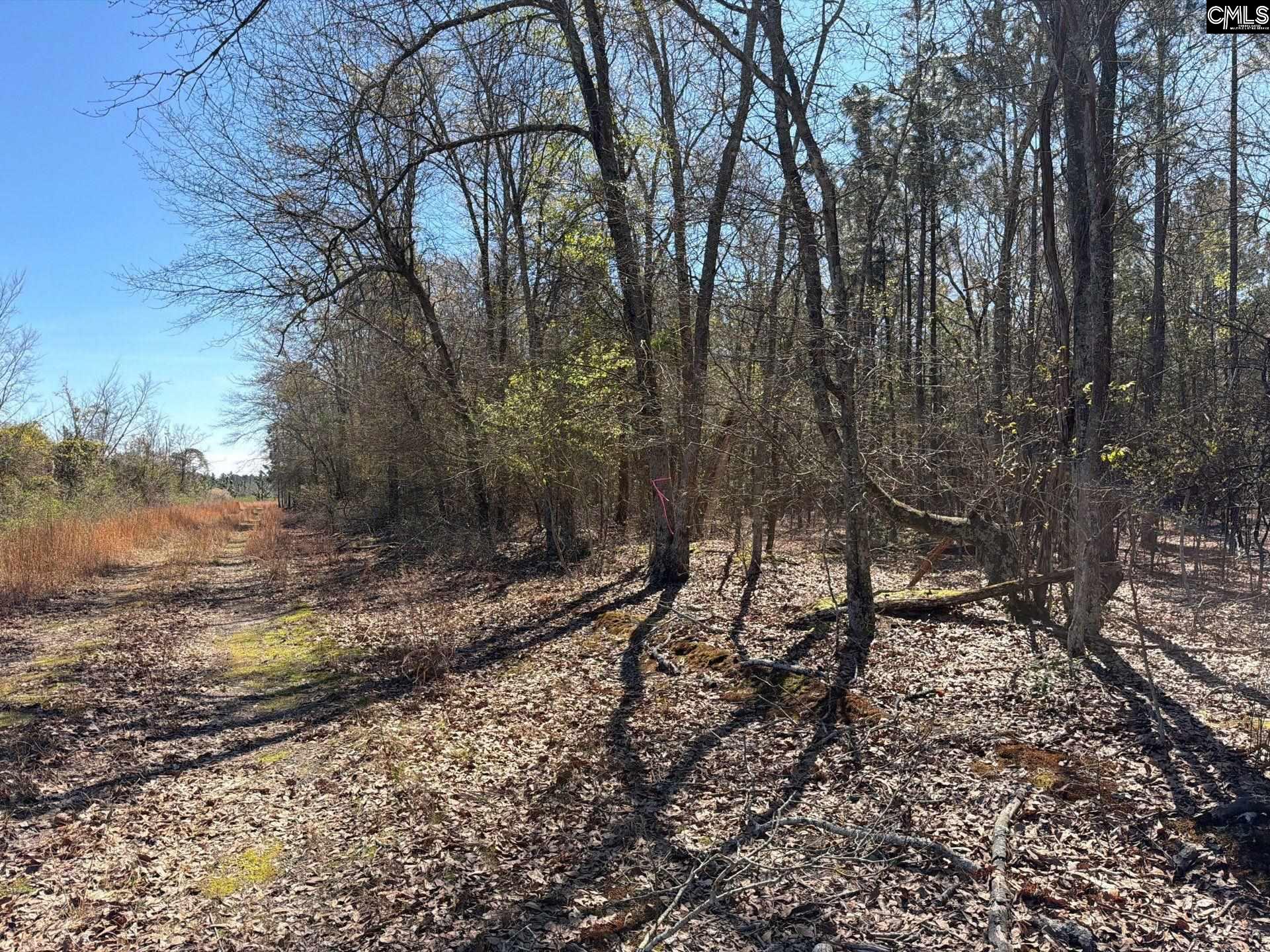 12 Boise Cascade Road, Unit BHL 12 Bethune, SC 29009 - Photo 3 of 20