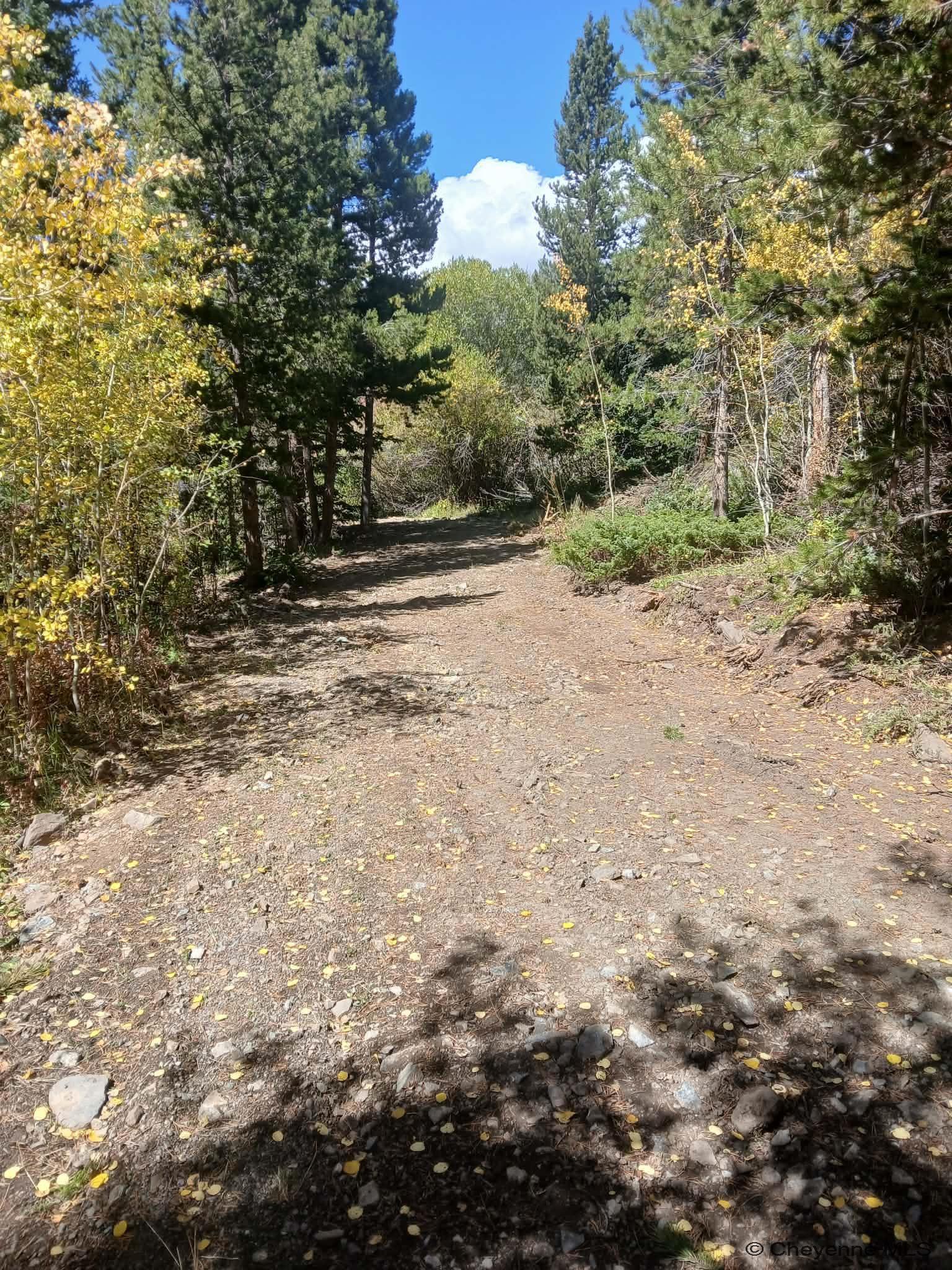 Tbd Tbd Keystone Lode Road Laramie, WY 82070 - Photo 5 of 10 Gallery Image 5