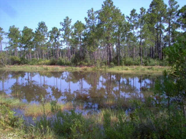 30587 Faires Road Elberta, AL 36530 - Photo 9 of 10 Pond