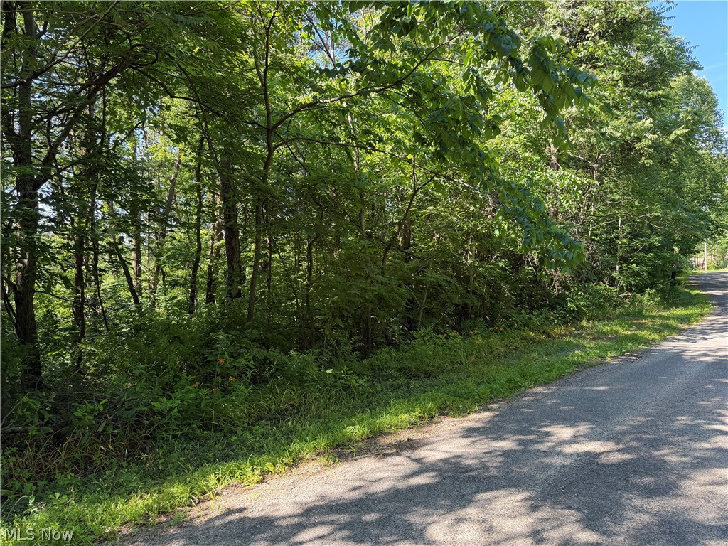 0 Fisher Ridge Road Fleming, OH 45729 - Photo 3 of 5 View from Road