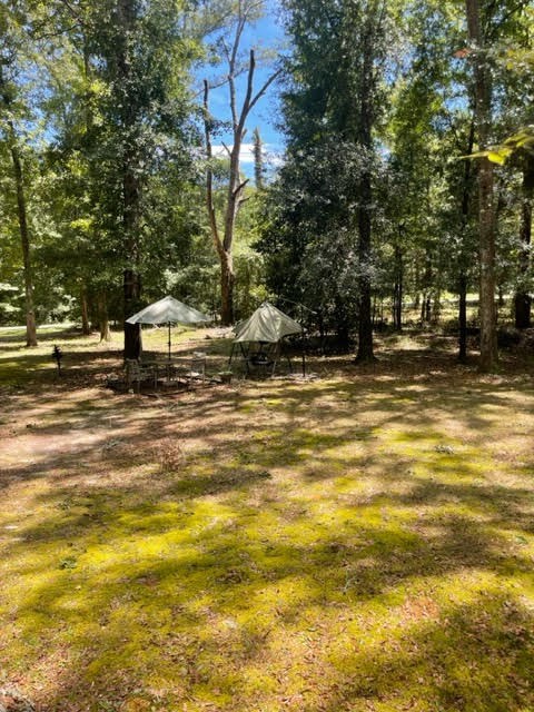 24 Briar Creek Road Pittsview, AL 36871 - Photo 11 of 43 Front Yard