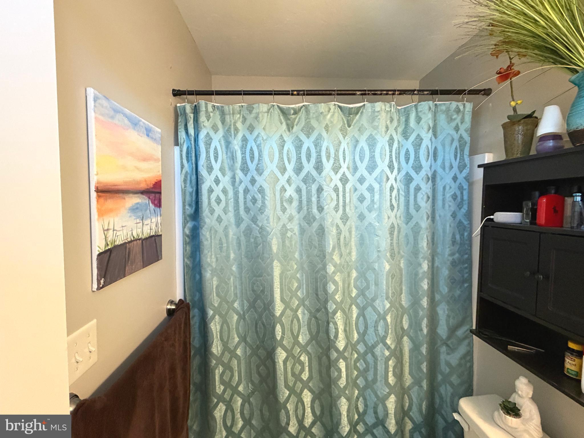 522 Charles Avenue Hanover, PA 17331 - Photo 45 of 59 a bathroom with a shower curtain and sink