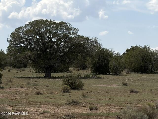 0 X-One Ranch Road Seligman, AZ 86337 - Photo 6 of 18 IMG_1754