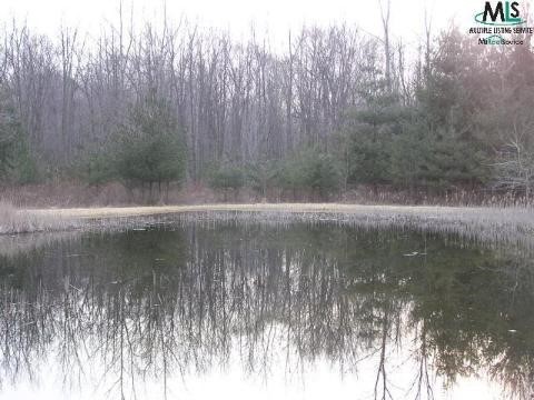 23600 31 Mile Road Ray, MI 48096 - Photo 8 of 9 831648-7.JPG