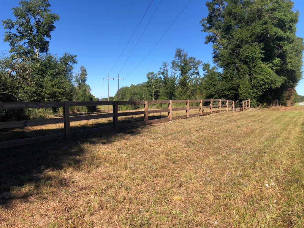 Undisclosed Address Samson, AL 36477 - Photo 39 of 39