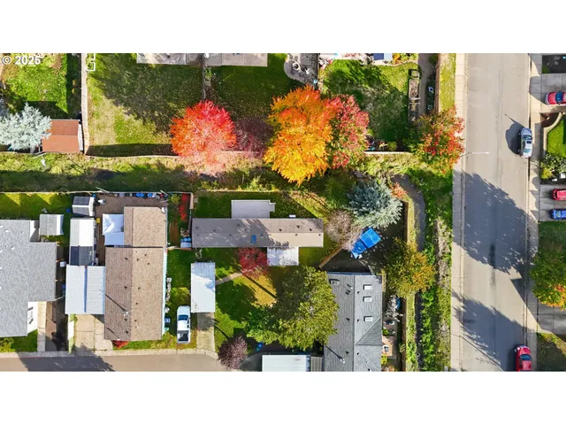 a picture of a park with some trees