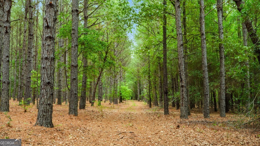 0 River Road Waynesboro, GA 30830 - Photo 24 of 37