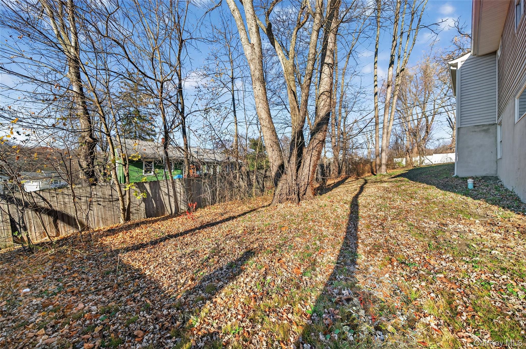 12 Revere Road Monroe, NY 10950 - Photo 30 of 30 View of yard