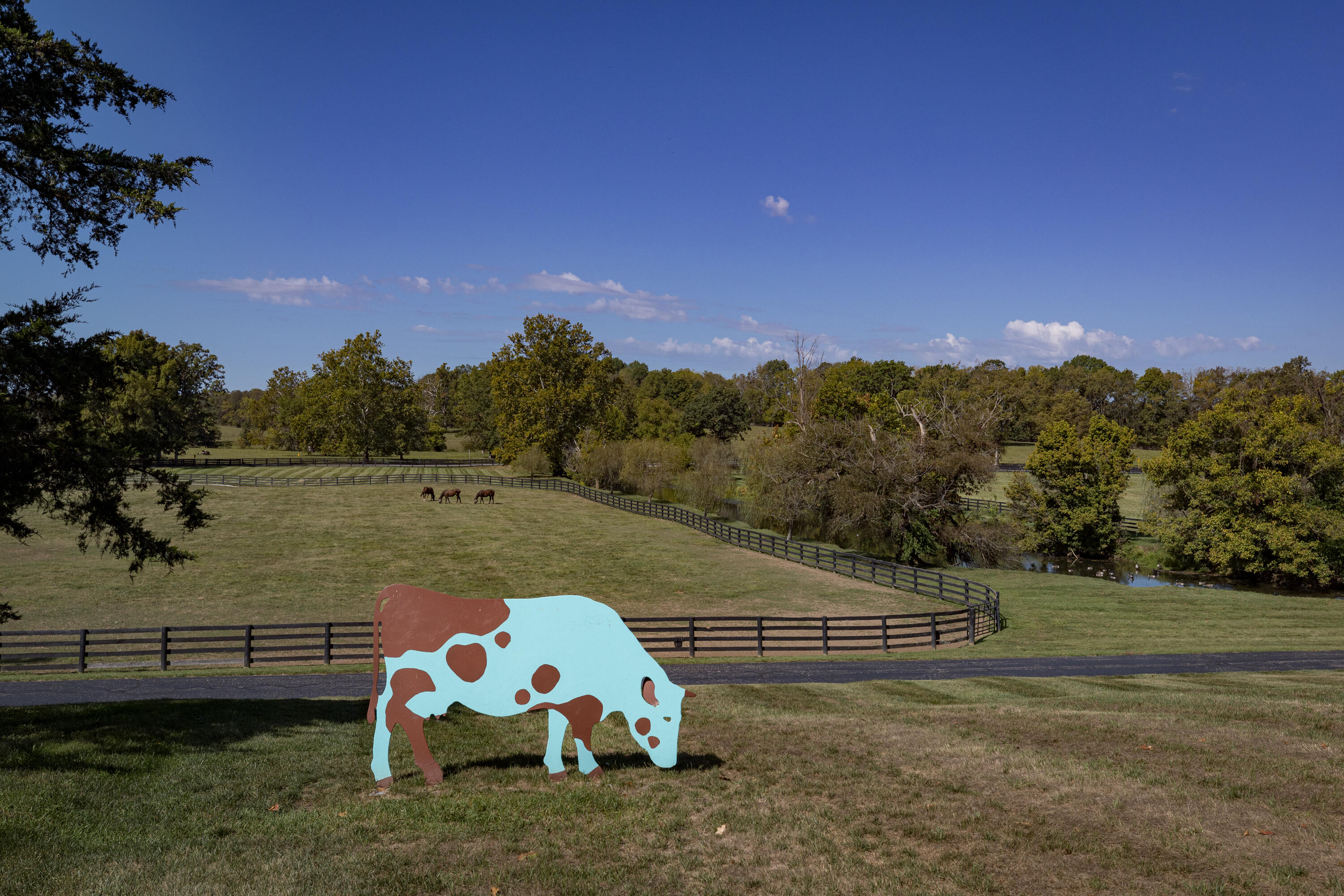 3521 Bryan Station Road Lexington, KY 40516 - Photo 41 of 42 24_0919_Whitney Farm_mw-16
