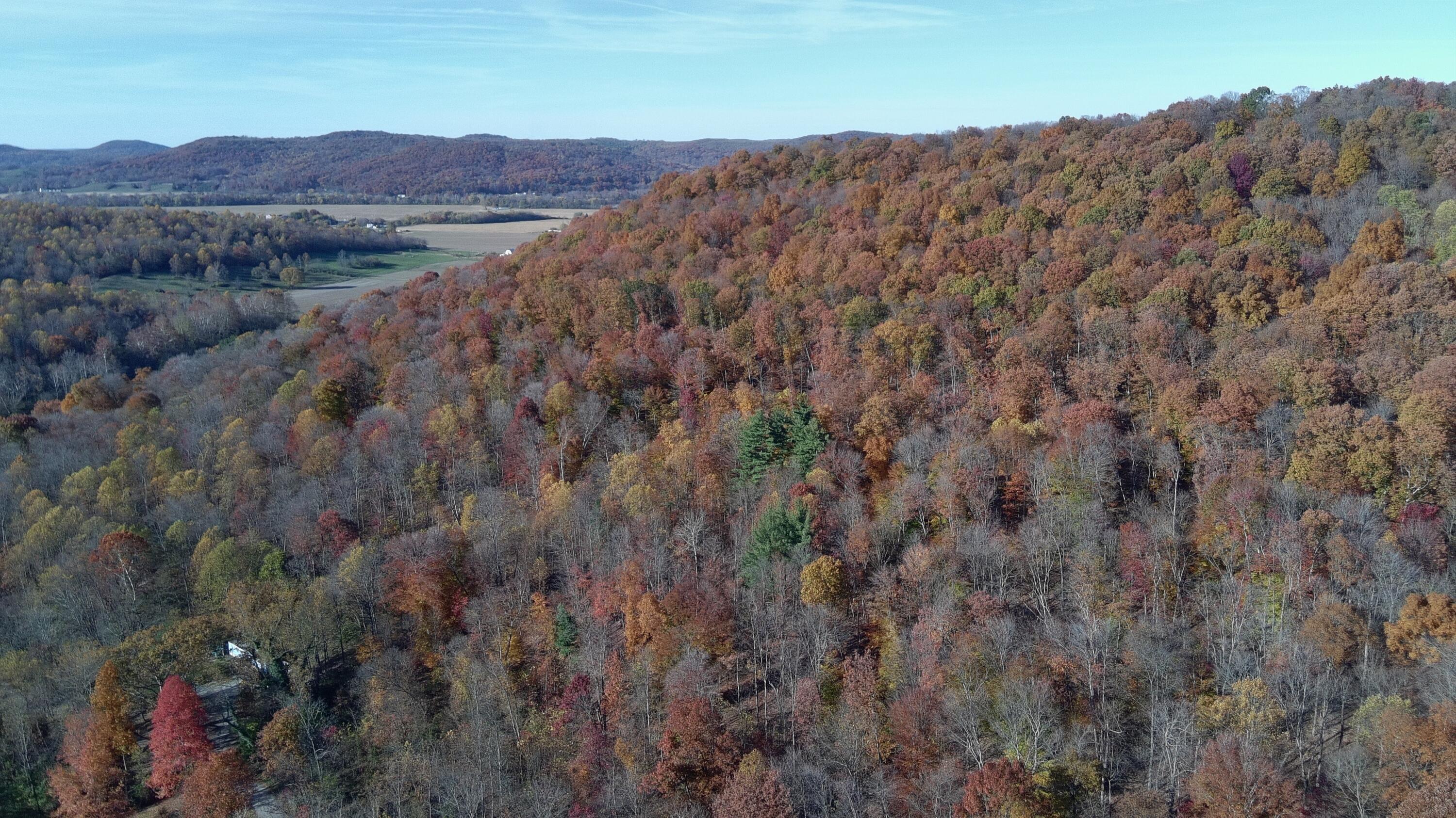 329 Kinzer Road Bainbridge, OH 45612 - Photo 78 of 86 5521853_100DRONE_SING0391