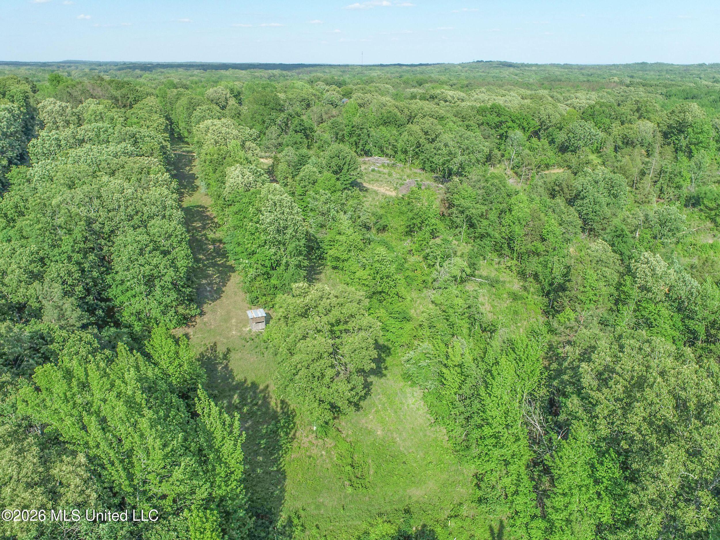 Wayne Massie Road Como, MS 38619 - Photo 66 of 184 3ctwmrd48