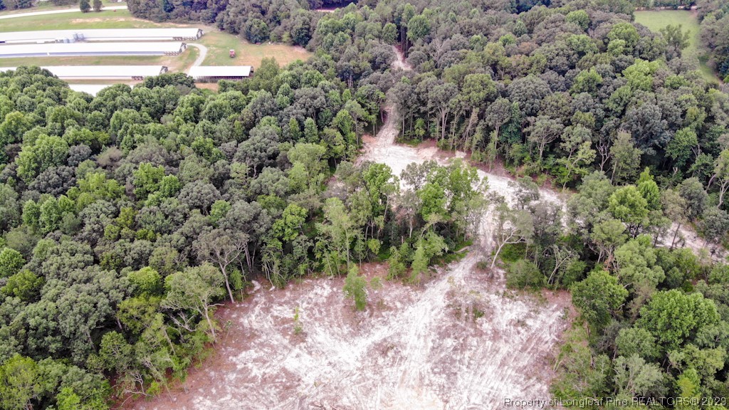 Tbd Hicks Road Broadway, NC 27505 - Photo 11 of 36 Gallery Image 11