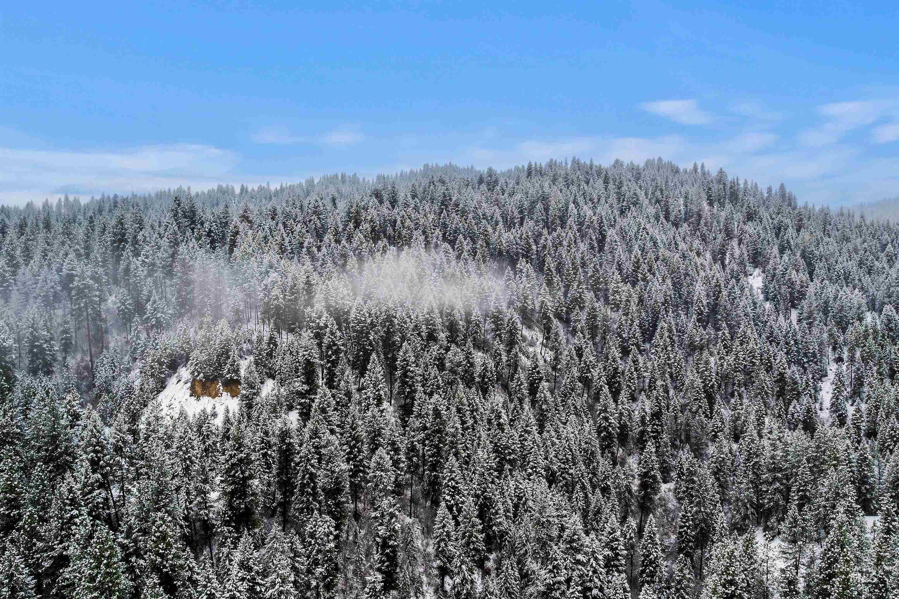 9 Crick Road Garden Valley, ID 83622 - Photo 47 of 50