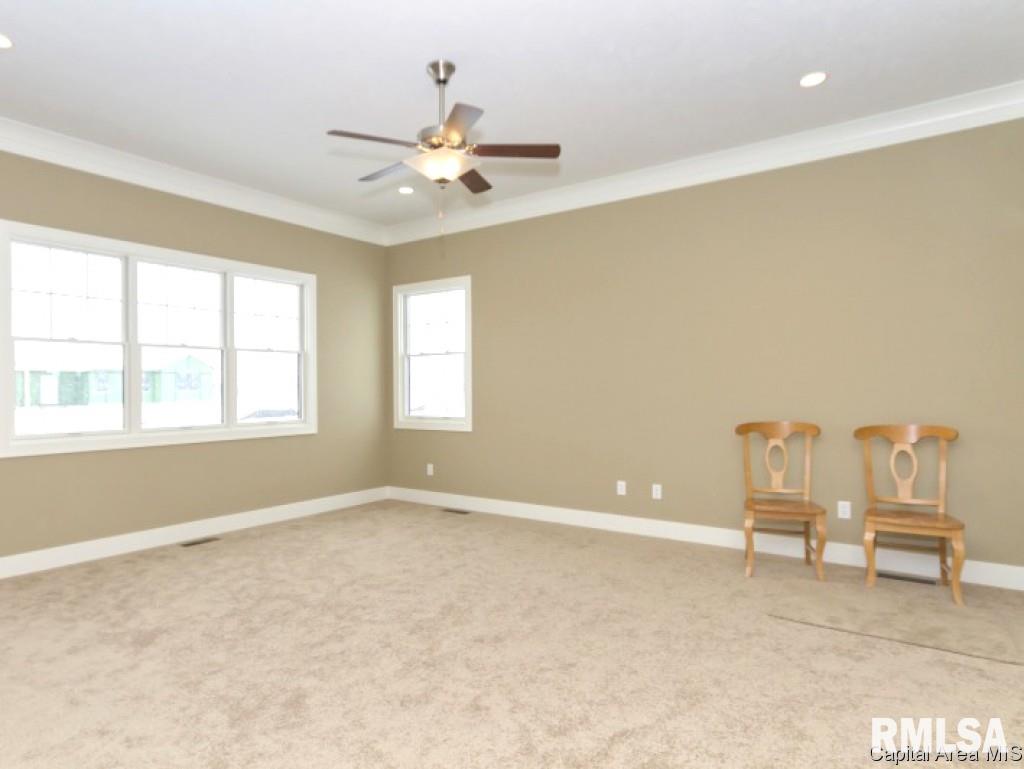 3958 Cornerstone Circle Springfield, IL 62711 - Photo 11 of 16