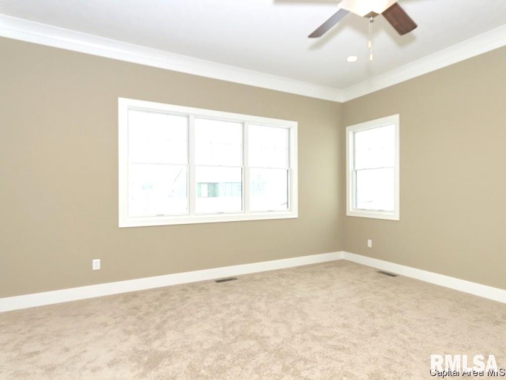 3958 Cornerstone Circle Springfield, IL 62711 - Photo 14 of 16