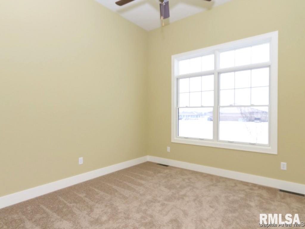 3958 Cornerstone Circle Springfield, IL 62711 - Photo 9 of 16