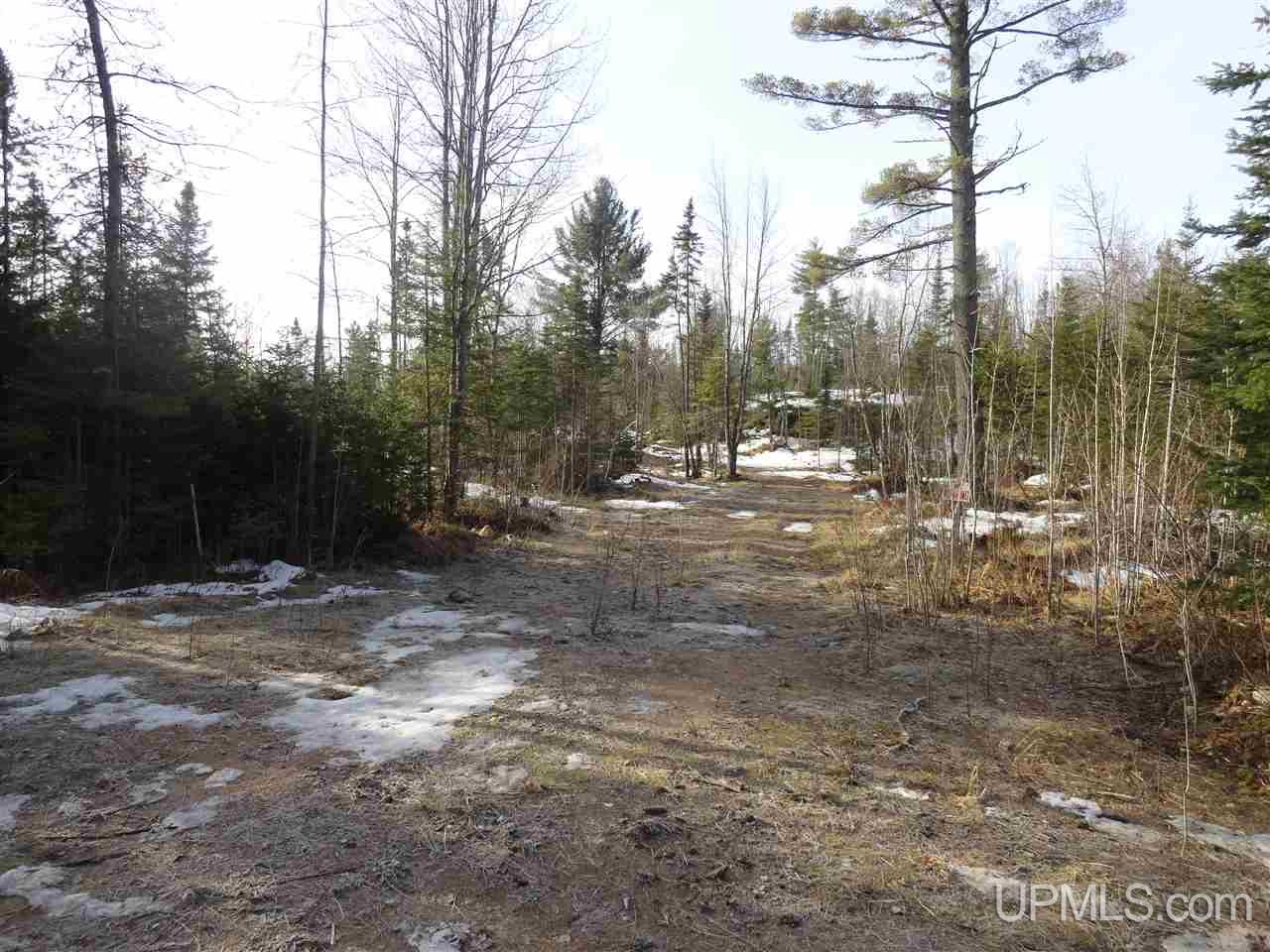 116-acres 116-acres Co Road Negaunee, MI 49866 - Photo 24 of 37