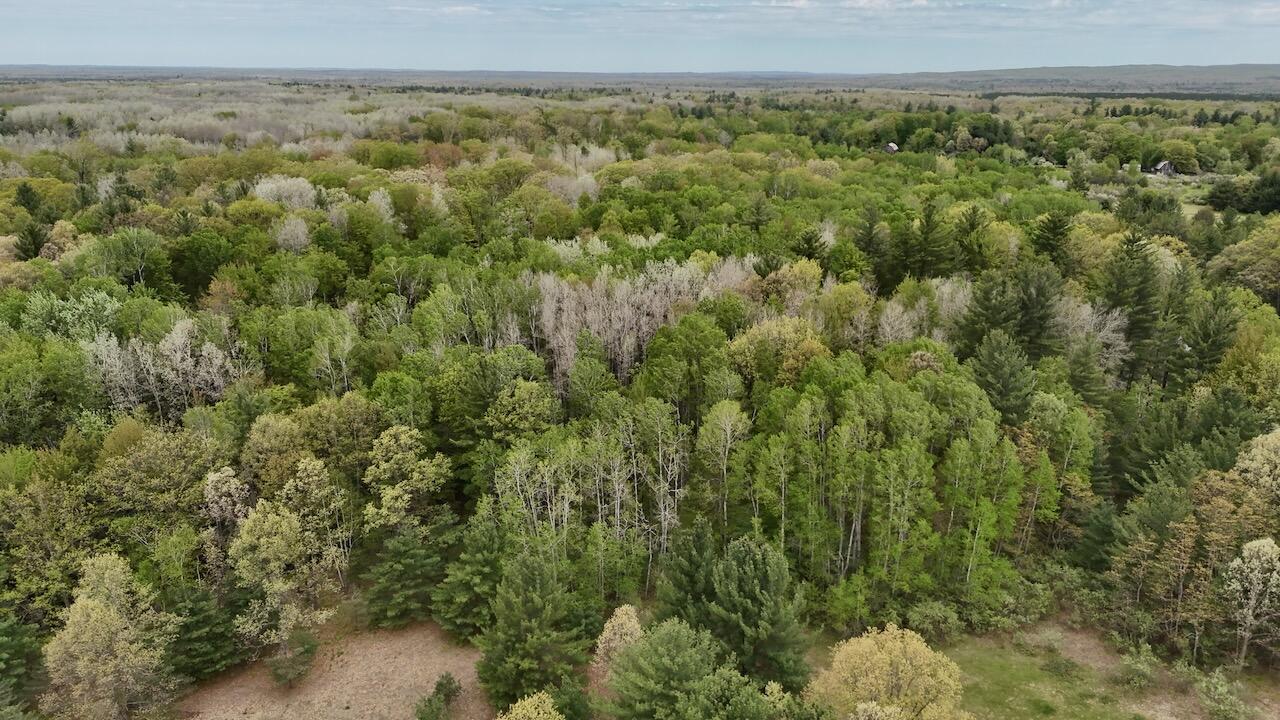 6153 South Branch Road Branch, MI 49402 - Photo 43 of 70 36