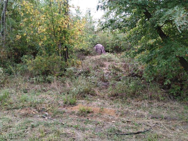 4389 Kincaid Road Warren, OH 44481 - Photo 17 of 33 View of landscape