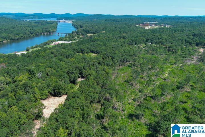 209 Harts Ferry Road, Unit 3 Ohatchee, AL 36271 - Photo 1 of 24