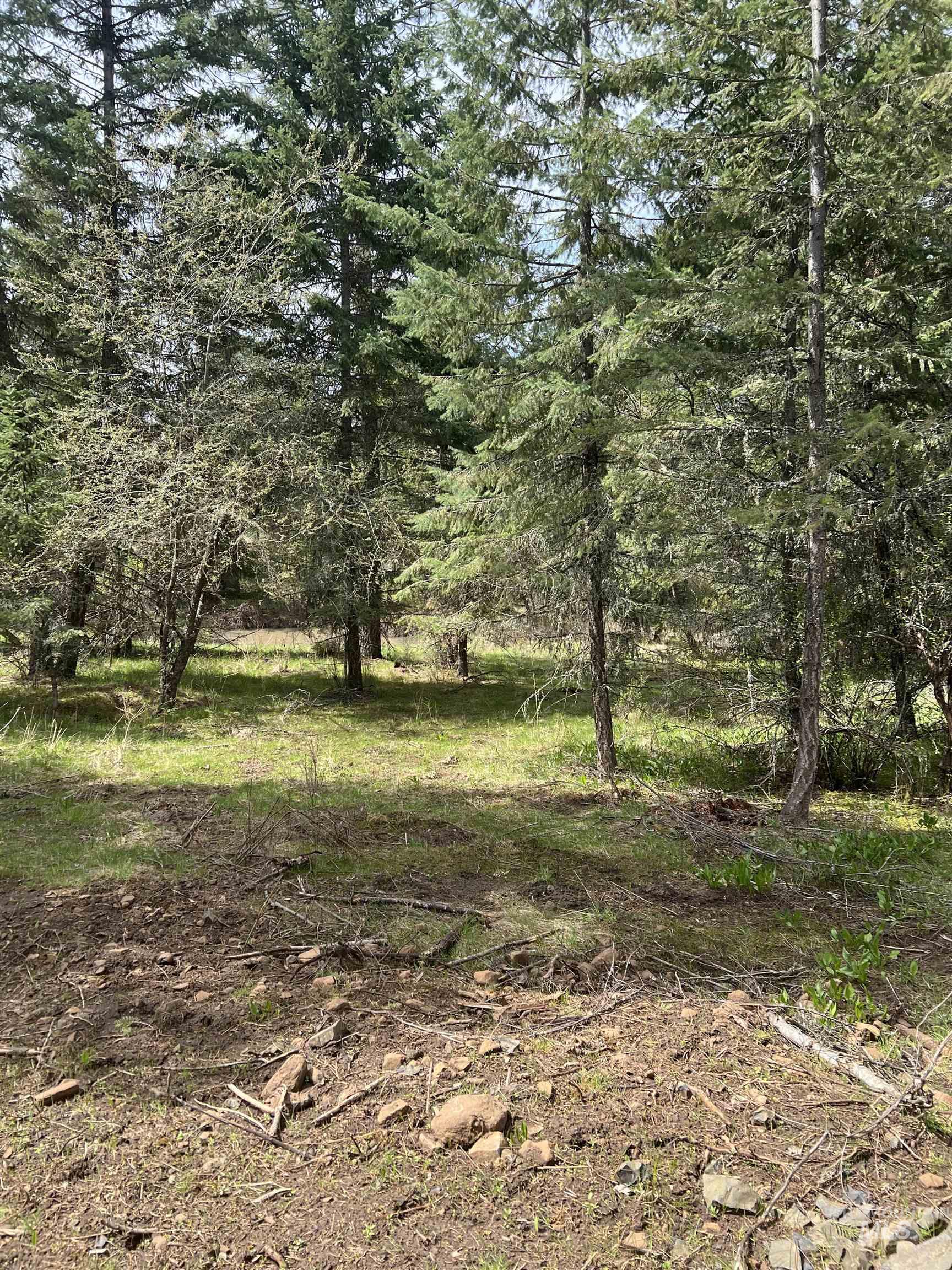 Parcel B Old Elk City Wagon Road Stites, ID 83552 - Photo 6 of 8
