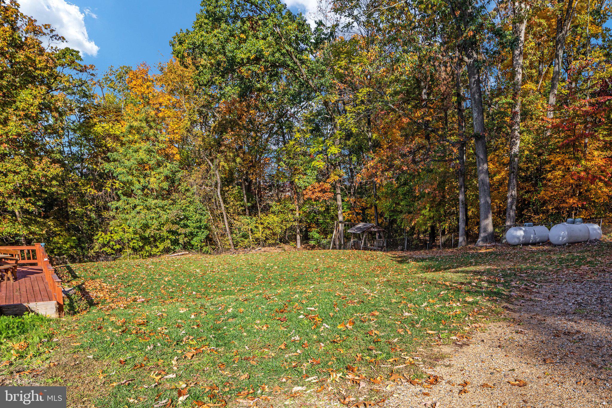 1590 Marlboro Road Stephens City, VA 22655 - Photo 48 of 48