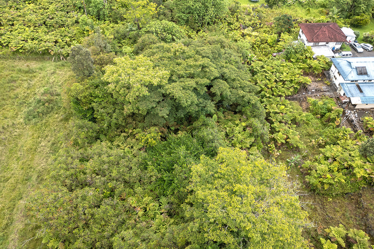 North Lauko Road Mountain View, HI 96771 - Photo 4 of 12 a view of a big yard of a building