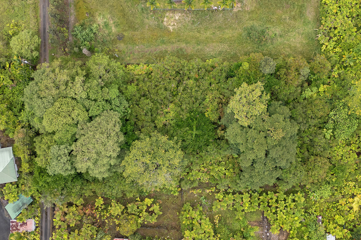North Lauko Road Mountain View, HI 96771 - Photo 6 of 12 a view of a big yard with lots of bushes
