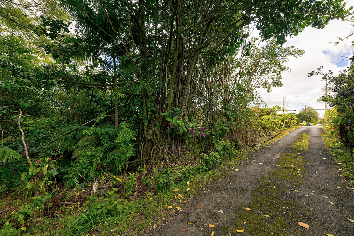 North Lauko Road Mountain View, HI 96771 - Photo 10 of 12 a view of a yard with plants and large trees