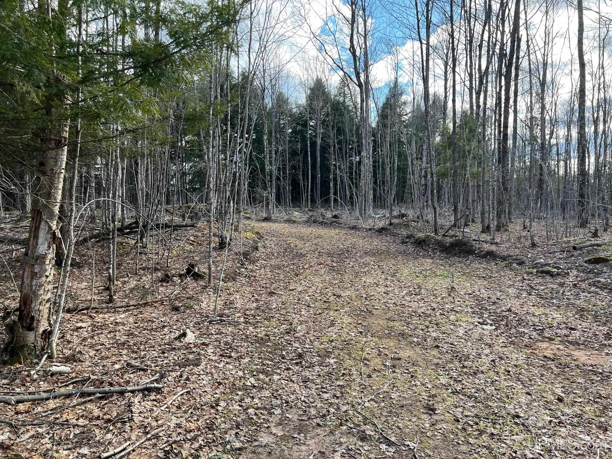 Tbd10 Dog Patch Road, Unit LOT D Lanse, MI 49946 - Photo 5 of 15