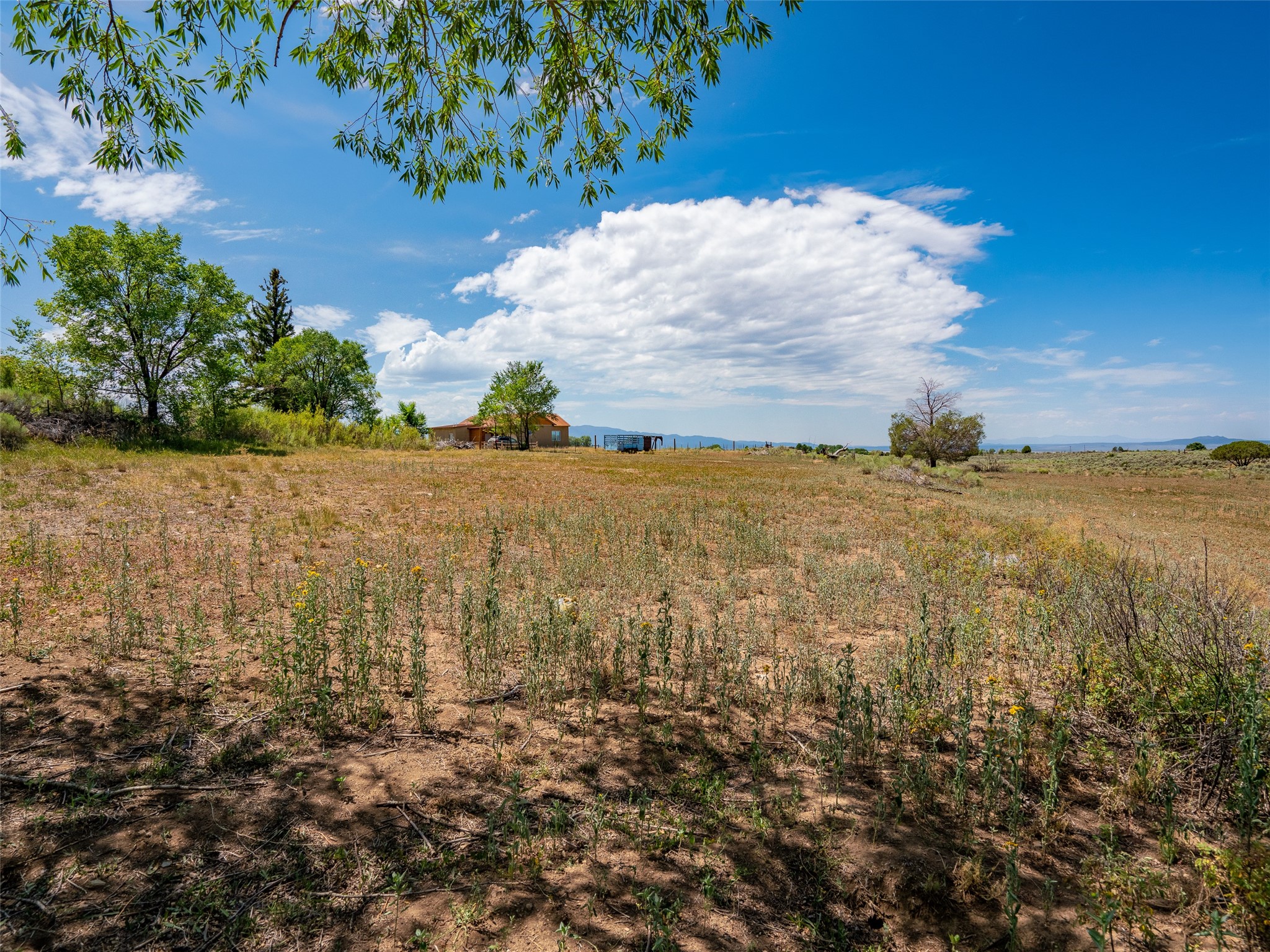 Tbd Shana Madre Road El Prado, NM 87529 - Photo 22 of 30
