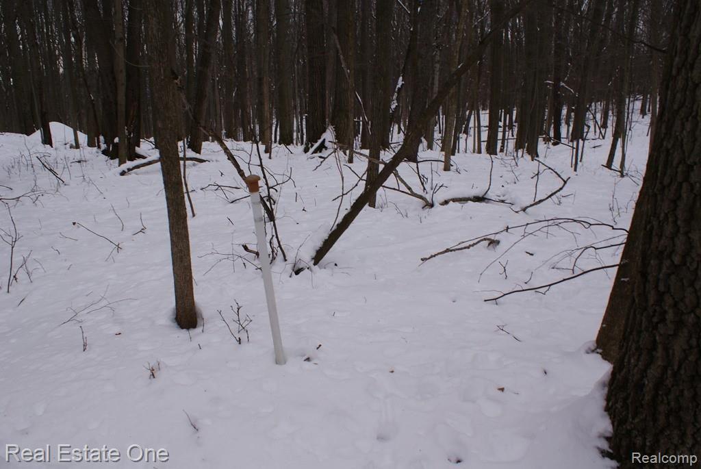 1 Miller Road Attica, MI 48412 - Photo 14 of 14