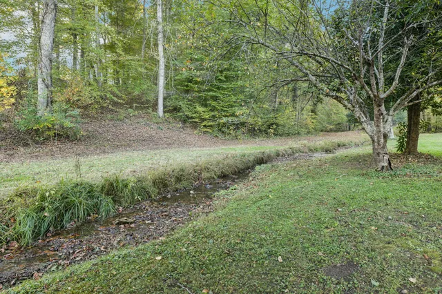 a view of outdoor space and green space