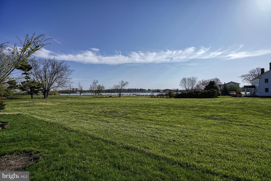 4885 Fairbank Road Tilghman, MD 21671 - Photo 15 of 52 Back yard view