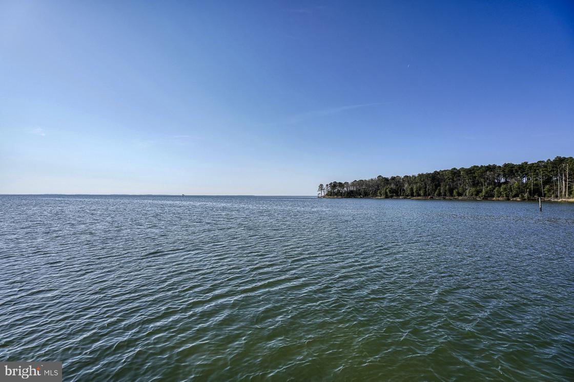 4885 Fairbank Road Tilghman, MD 21671 - Photo 46 of 52 Pier View