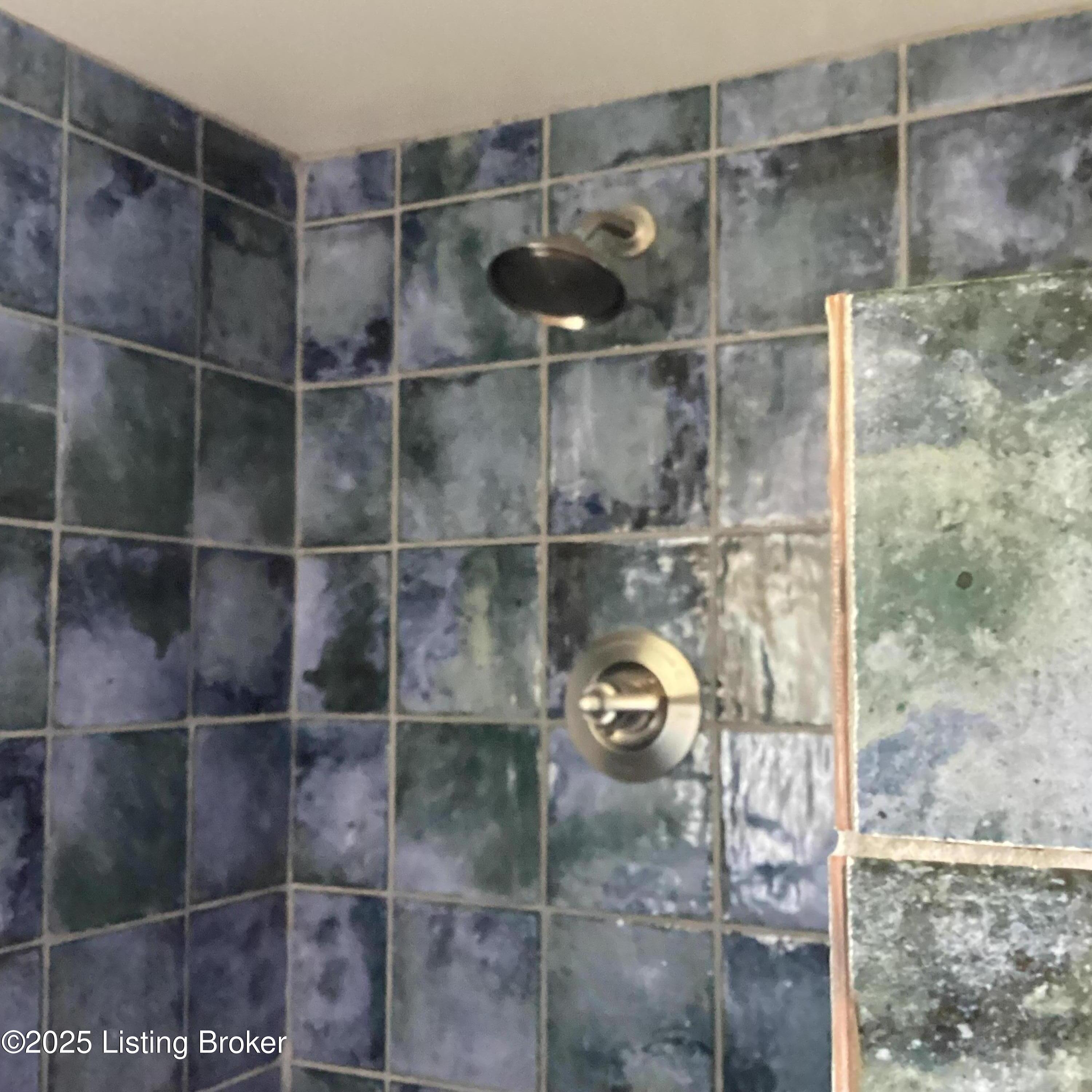 305 West 1st Street Perryville, KY 40468 - Photo 22 of 32 Basement shower