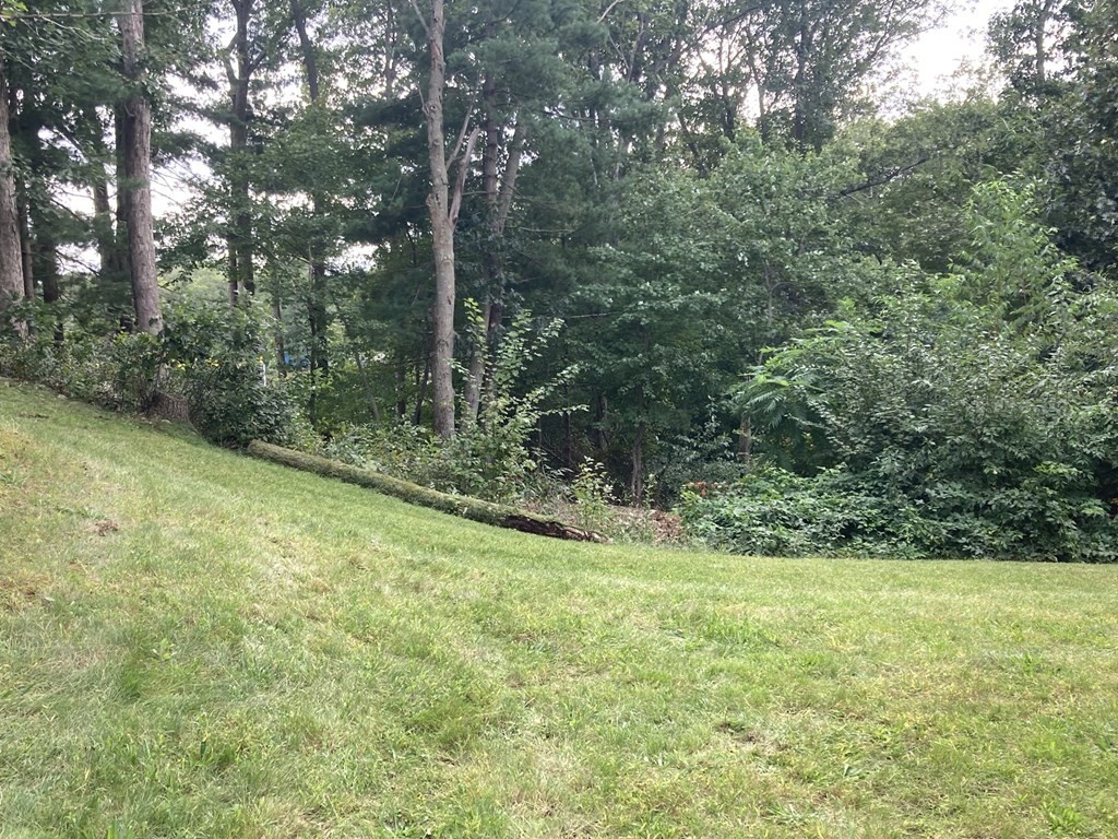 4 Lancaster Road Randolph, MA 02368 - Photo 29 of 29 Gallery Image 29