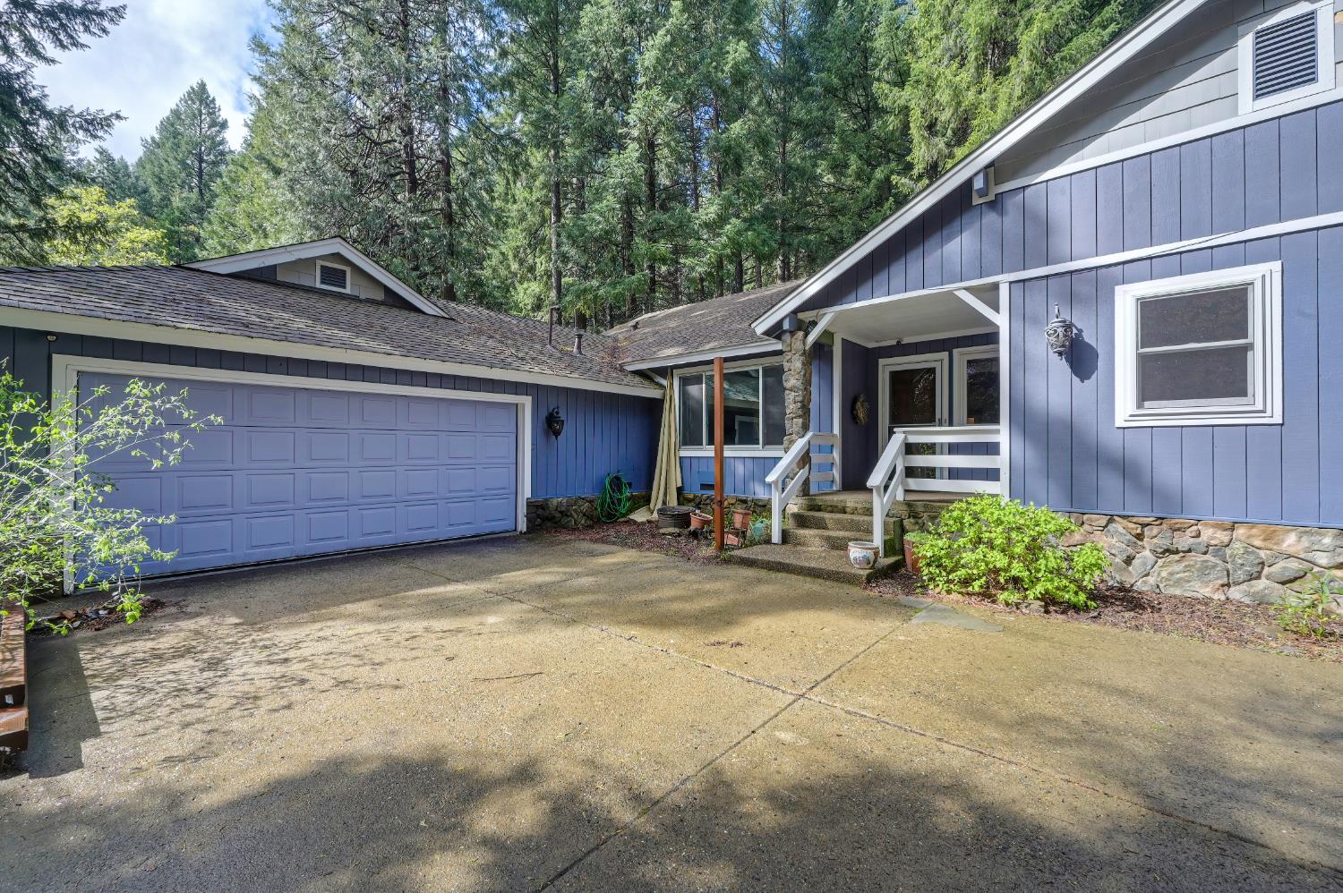 4580 Jenkinson Circle Pollock Pines, CA 95726 - Photo 4 of 78 a backyard of a house with yard and outdoor seating