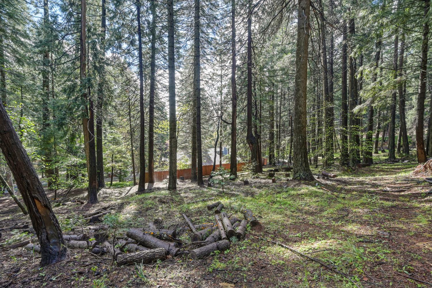 4580 Jenkinson Circle Pollock Pines, CA 95726 - Photo 50 of 78 a backyard of a house with lots of green space