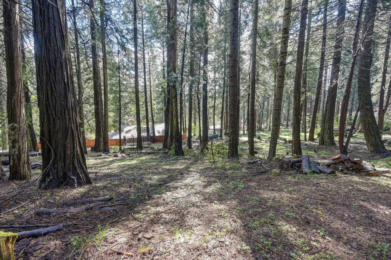 4580 Jenkinson Circle Pollock Pines, CA 95726 - Photo 54 of 78