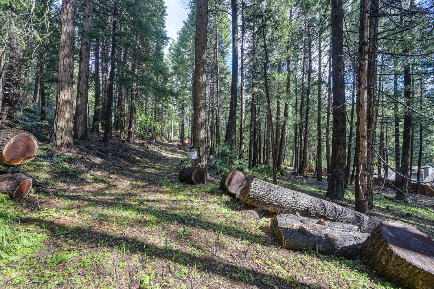 4580 Jenkinson Circle Pollock Pines, CA 95726 - Photo 56 of 78 a view of a backyard with large trees and wooden fence