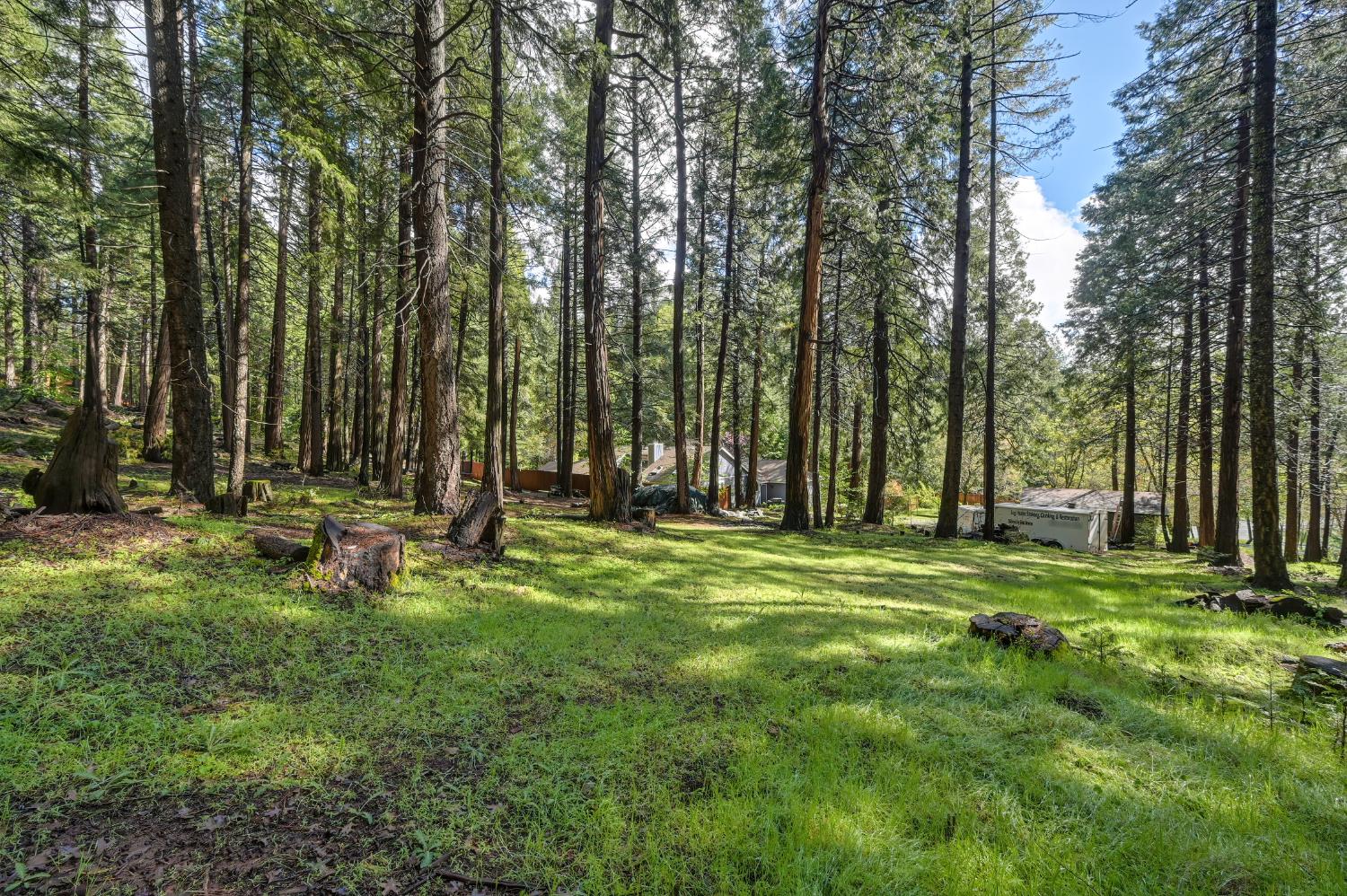 4580 Jenkinson Circle Pollock Pines, CA 95726 - Photo 57 of 78