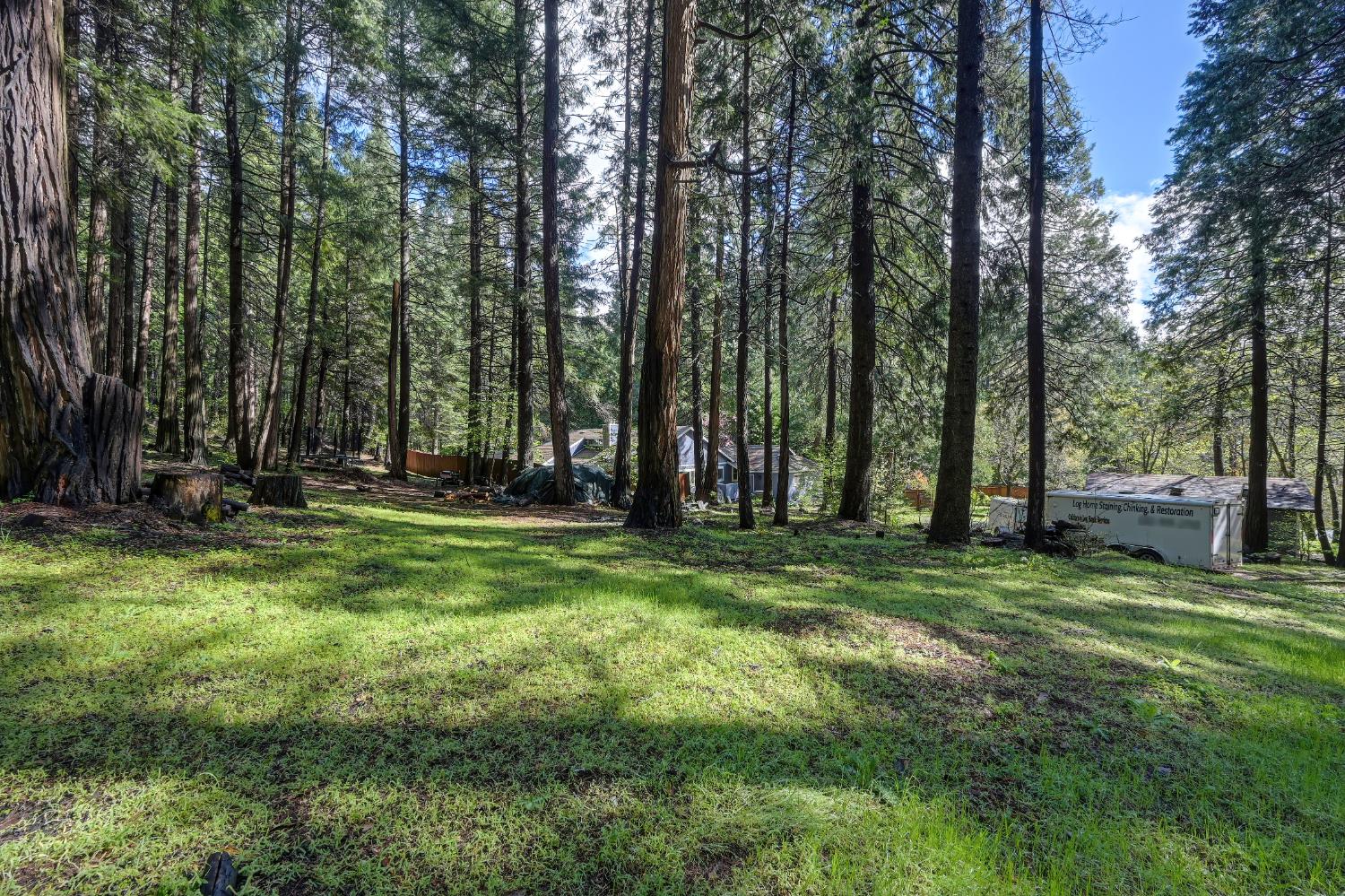 4580 Jenkinson Circle Pollock Pines, CA 95726 - Photo 58 of 78