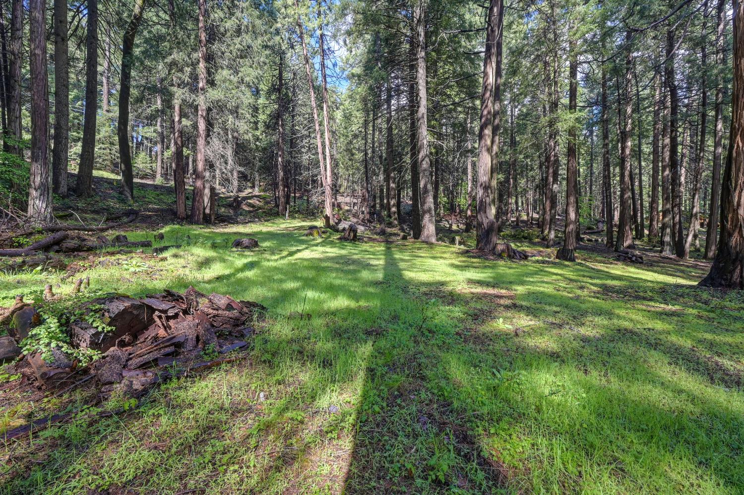 4580 Jenkinson Circle Pollock Pines, CA 95726 - Photo 59 of 78 a backyard of a house with lots of green space and trees