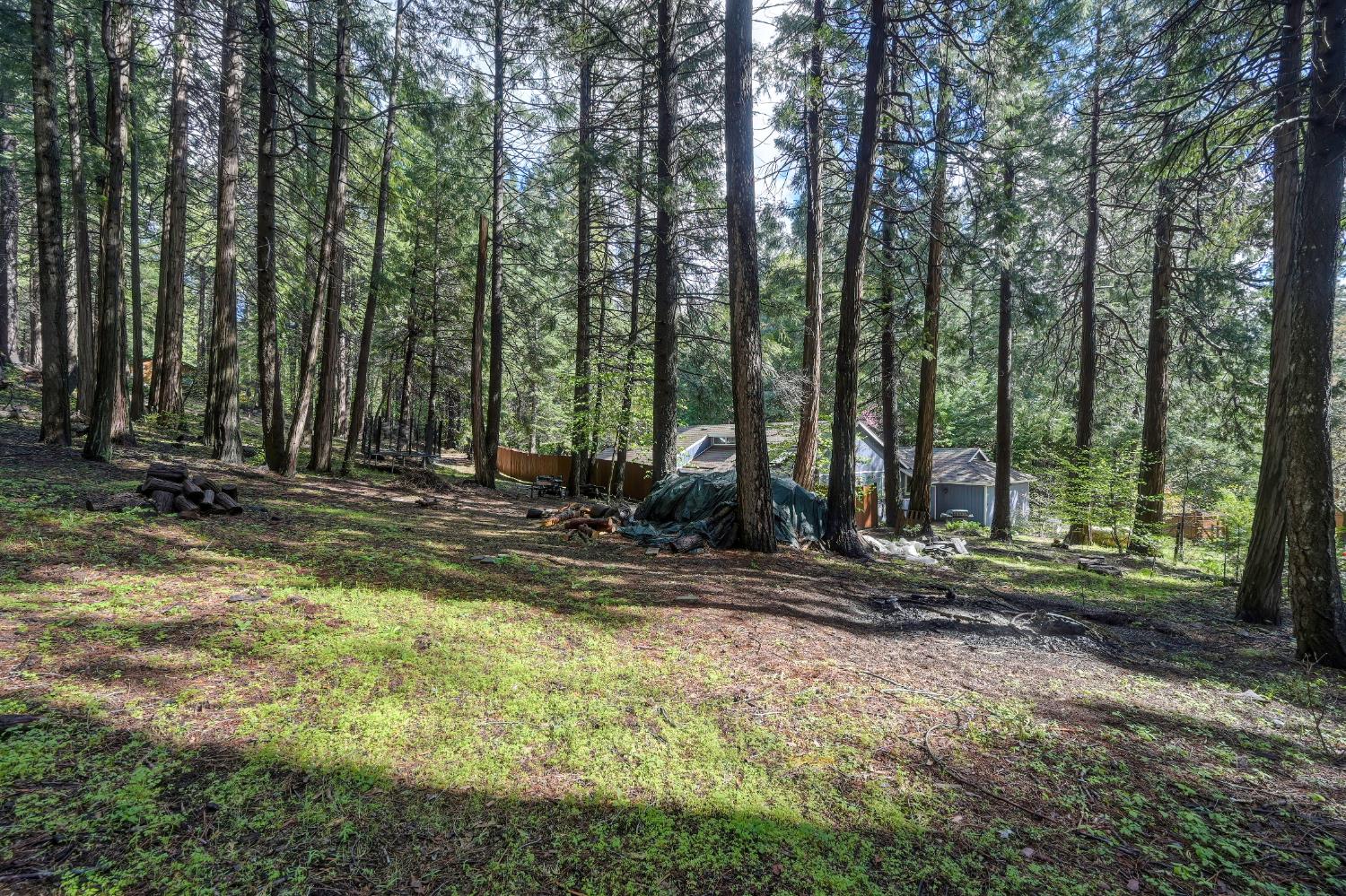 4580 Jenkinson Circle Pollock Pines, CA 95726 - Photo 60 of 78