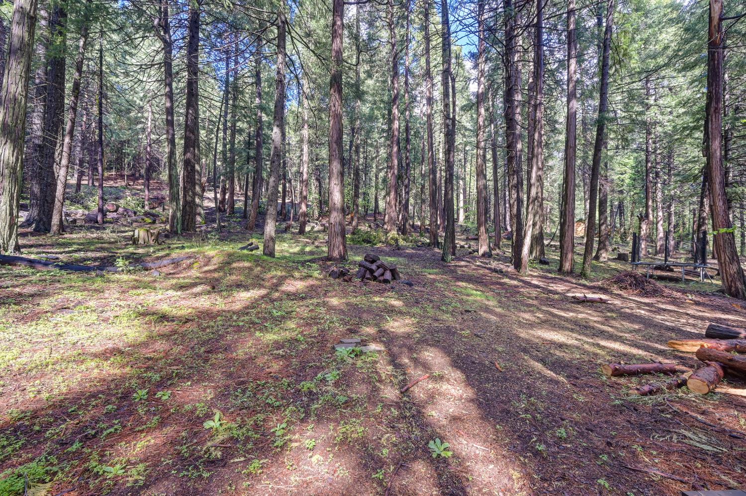 4580 Jenkinson Circle Pollock Pines, CA 95726 - Photo 61 of 78 a view of outdoor space with sink and trees