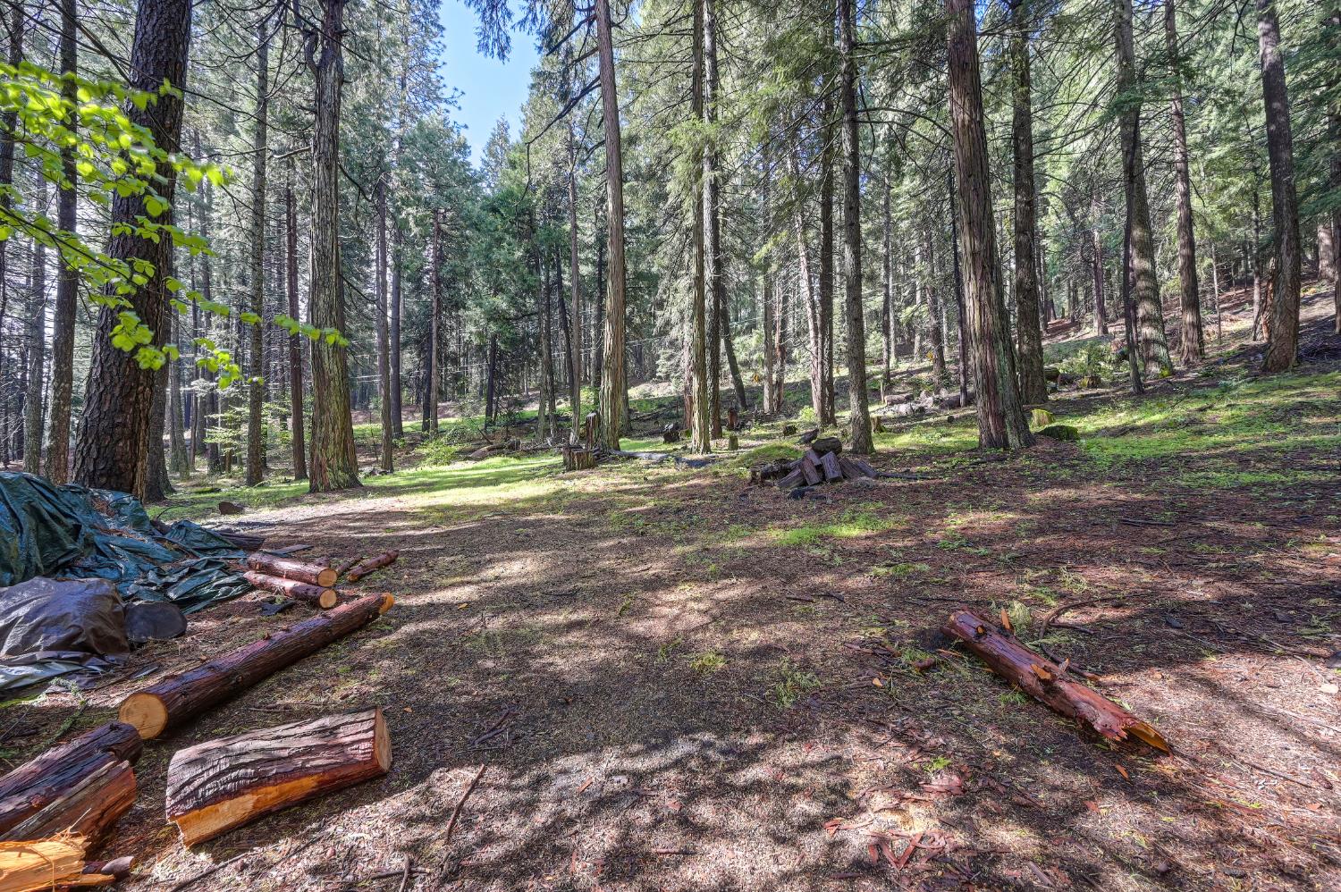 4580 Jenkinson Circle Pollock Pines, CA 95726 - Photo 62 of 78 a backyard of a house with lots of green space
