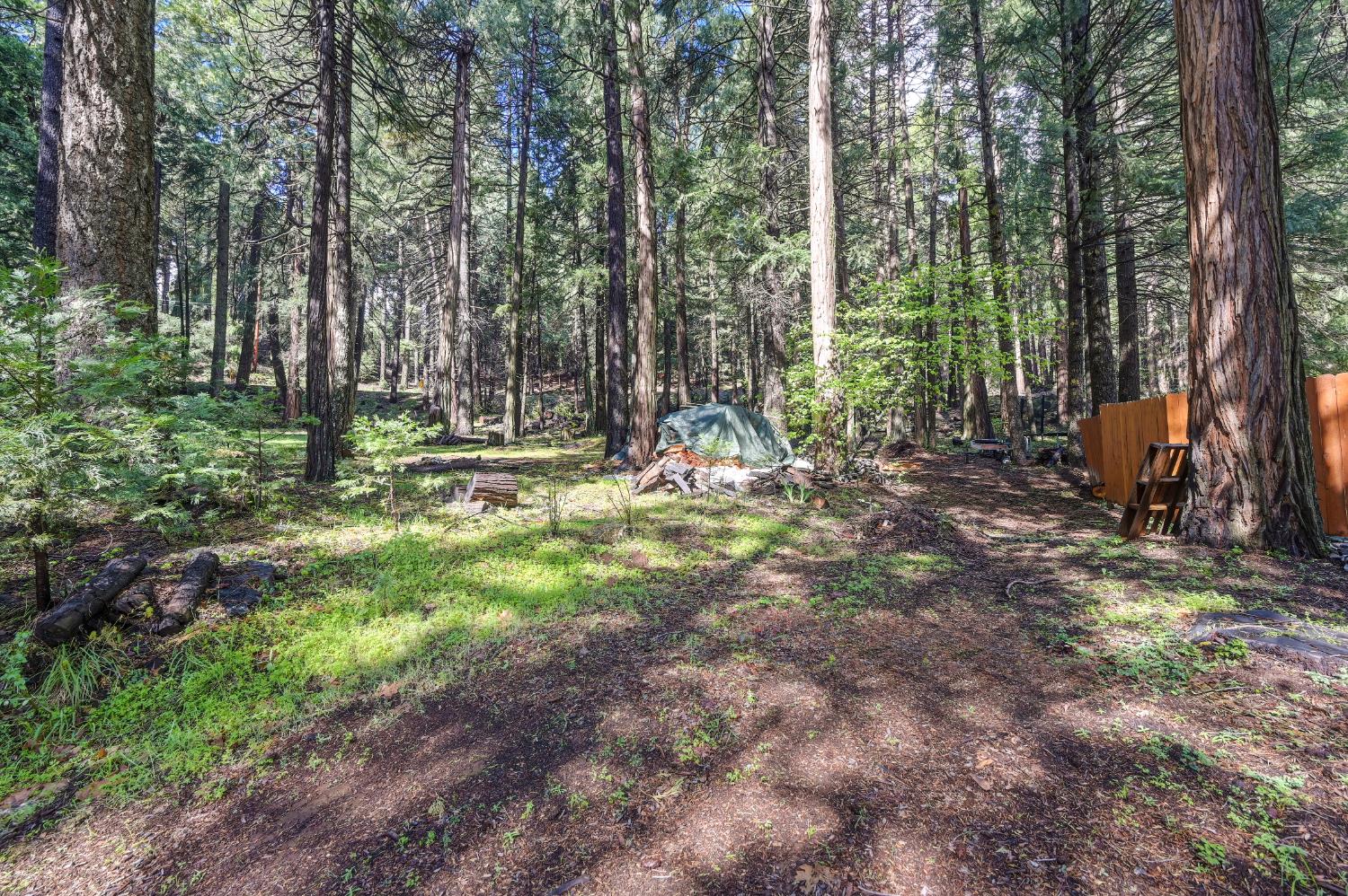 4580 Jenkinson Circle Pollock Pines, CA 95726 - Photo 63 of 78 a view of outdoor space with trees all around